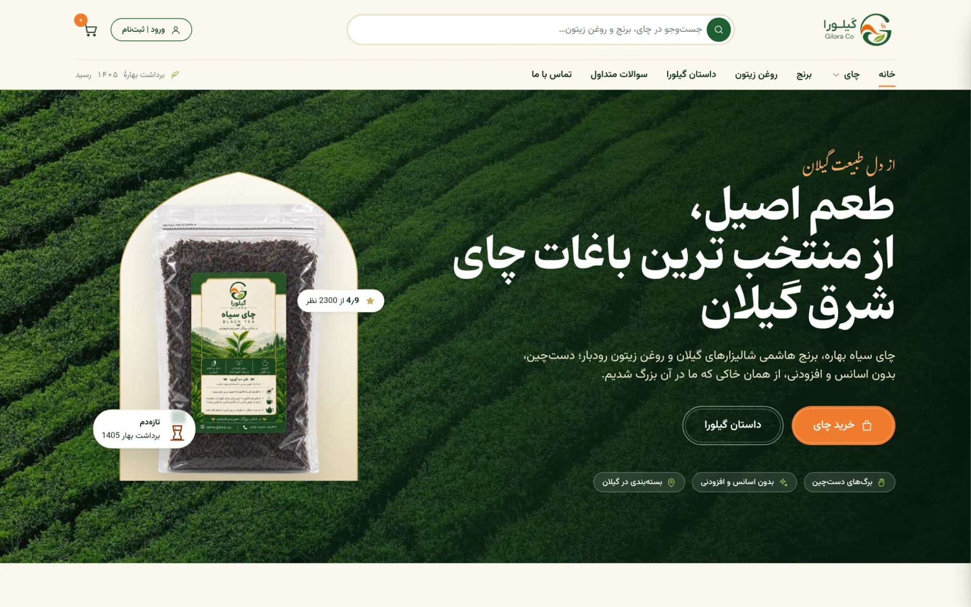 نمای طراحی و پیاده سازی فروشگاه اینترنتی گیلورا